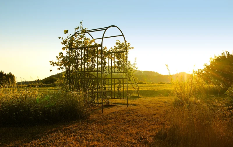 Schuasterhof_Garten_1
